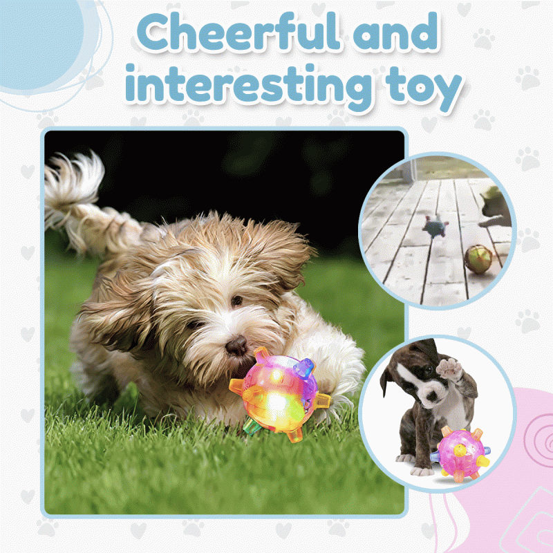 Jumping Activation Flashing Ball Light Sounds Dog Toys