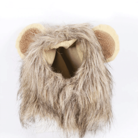 Cute Lion Mane Cat Wig Costume Cosplay
