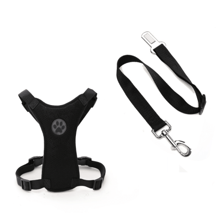 Breathable Mesh Dog Harness & Leash With Seatbelt