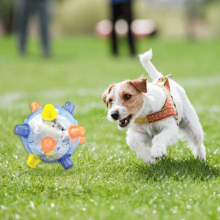 Glowing Jumping Interaction Ball For Pet Dog Cat