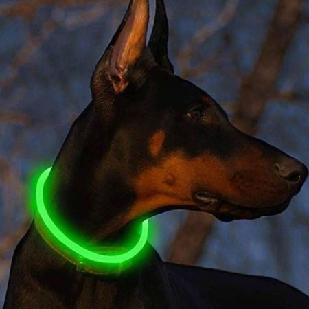 LED Glowing Luminous Pet Collar