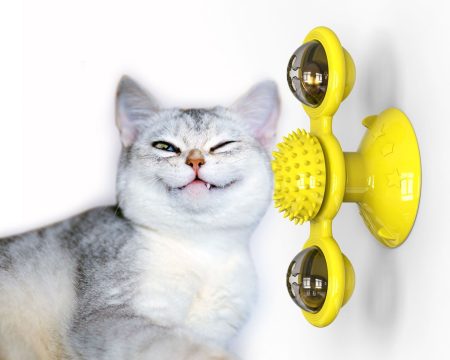 Interactive Windmill Cat Toy