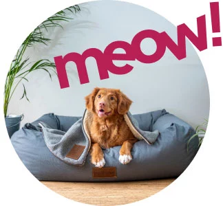 petgearzone